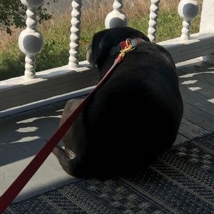 Meet your Posher, Alfredo